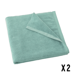 DRAP EPONGE SAUGE / LOT DE 2